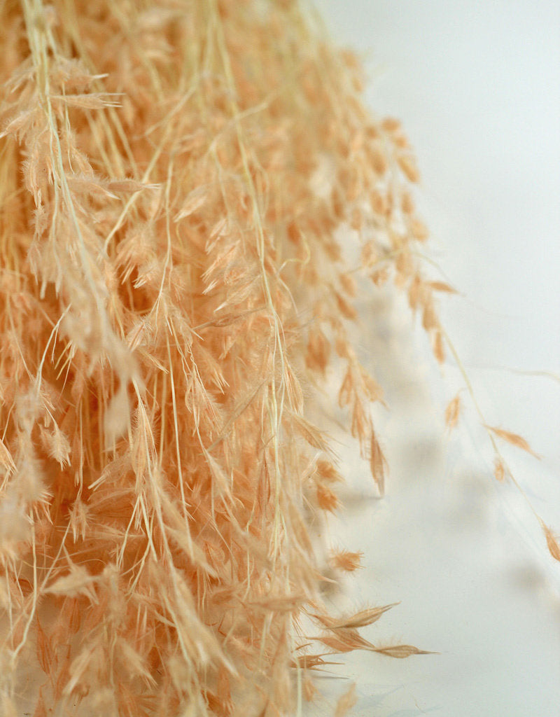: Dried Princess Grass - Light Pink Bunch, 80 cm