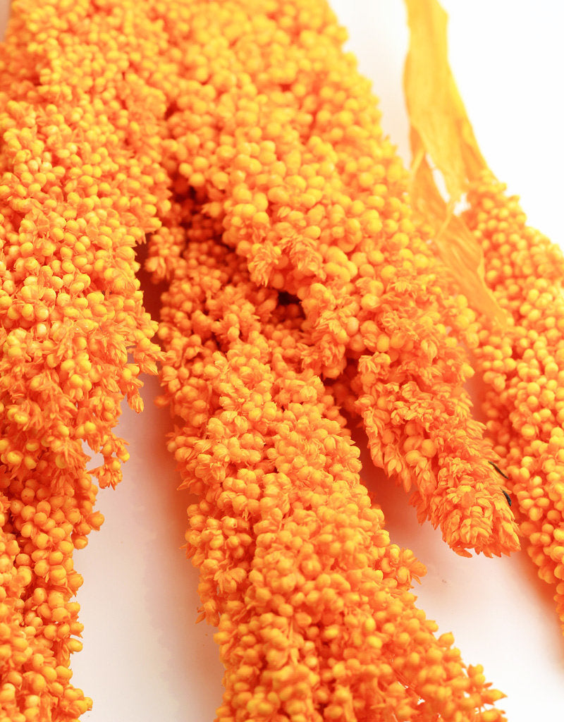 Dried Sorghum - Orange, 70 cm