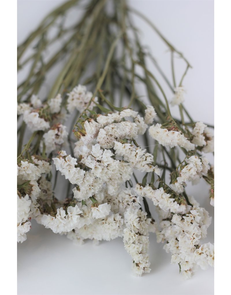 Large Dried Statice - White Bunch