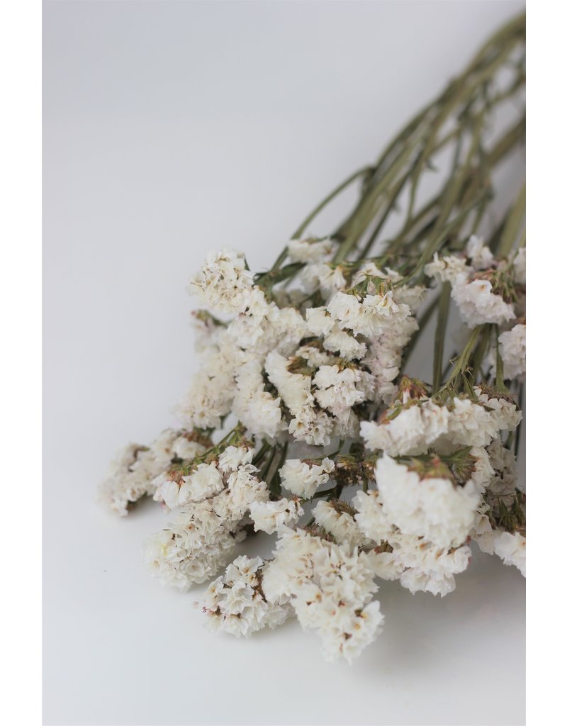 Dried Statice - Large White Bunch