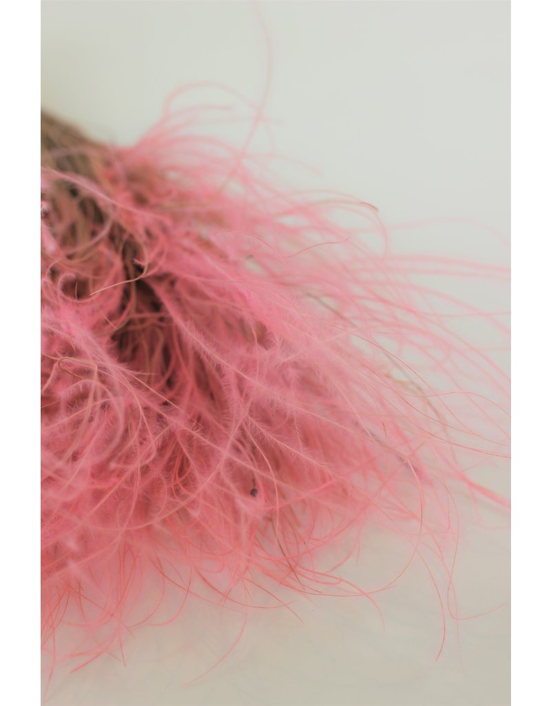 Dried Stypha Pennata - Light Pink, Best quality