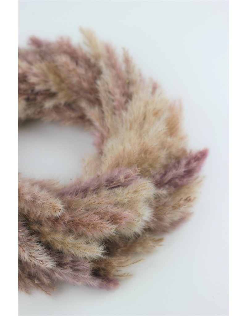 Buy Dried Pampas Grass Wreath - Natural Selection in UK