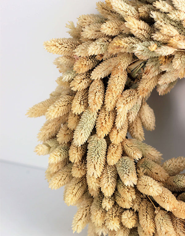 Dried Phalaris Wreath - Natural Selection, 30 cm