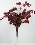 eucalyptus red leaves