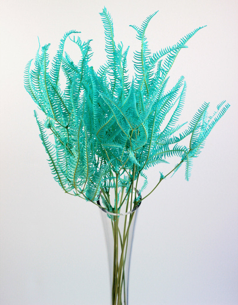 Preserved Helecho - Aqua Blue