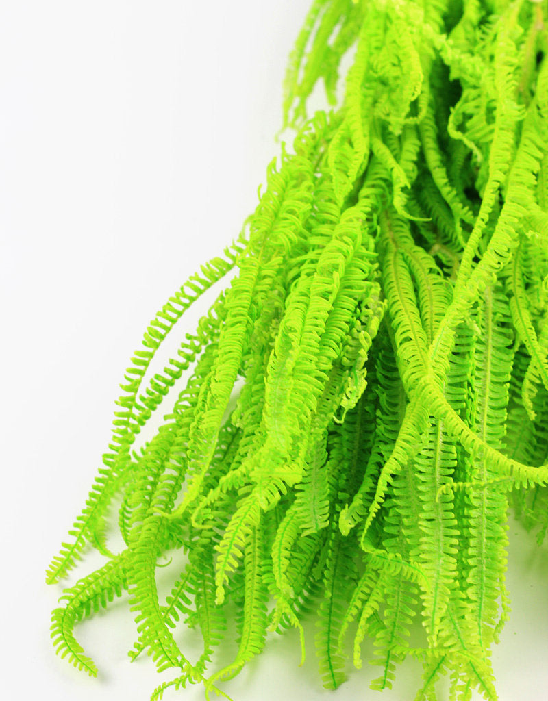 Preserved Helecho LVS - Apple Green Bunch, 75 cm