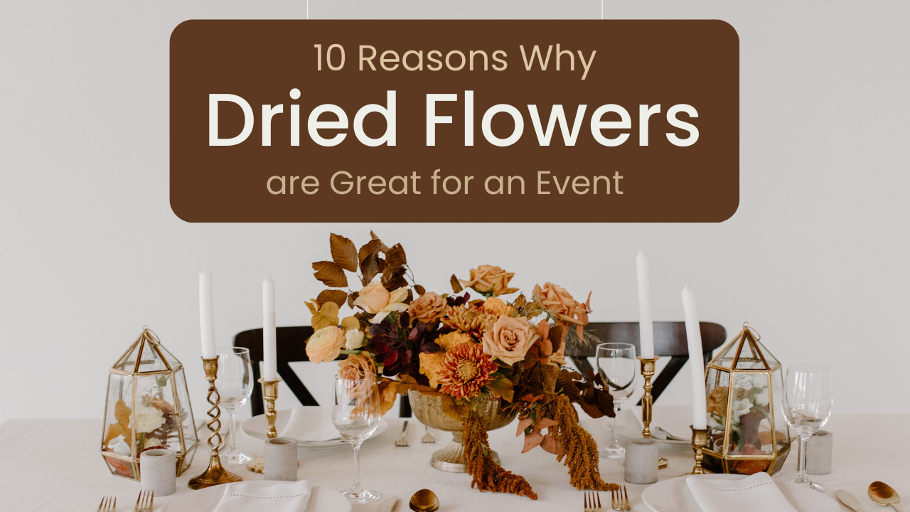 10 Reasons Why Dried Flowers are Great for an Event