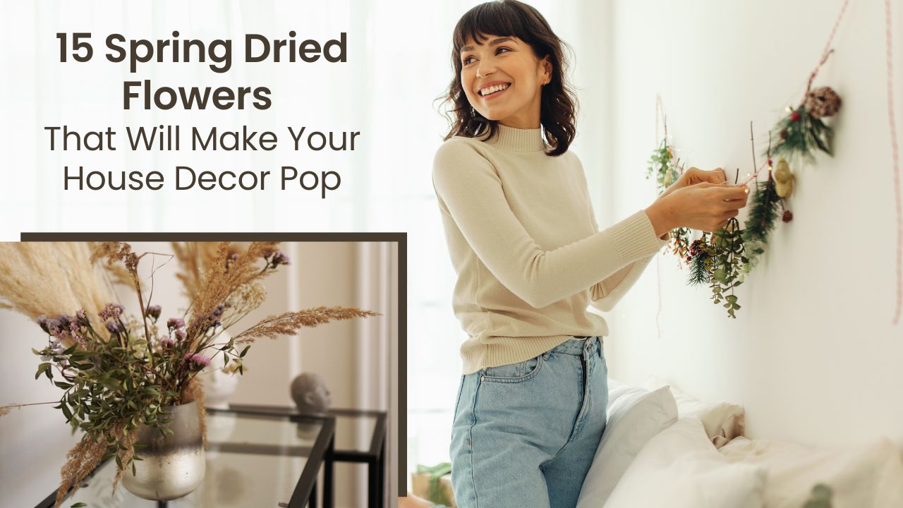 15 Spring dried Flowers for House Decor Pop