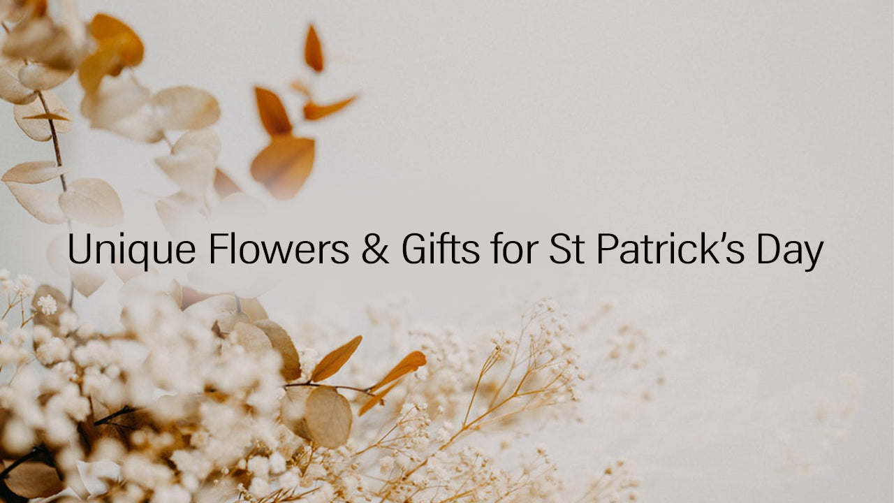 Top 5 Unique Flowers & Gifts for St Patrick’s Day 
