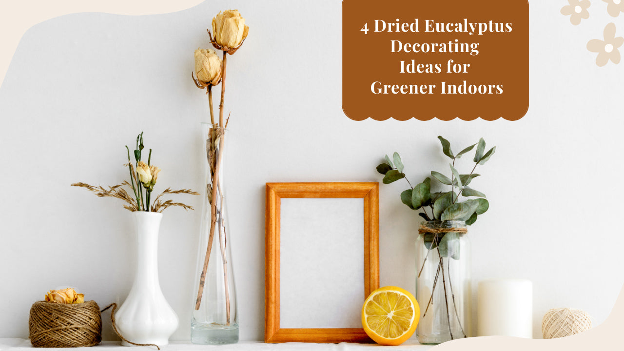 4 Dried Eucalyptus Decorating Ideas for Greener Indoors
