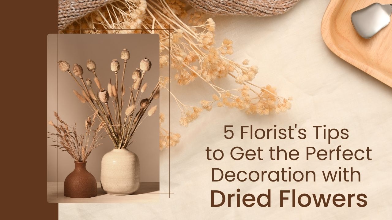5 Florist's Tips to Get the Perfect Decoration with Dried Flowers