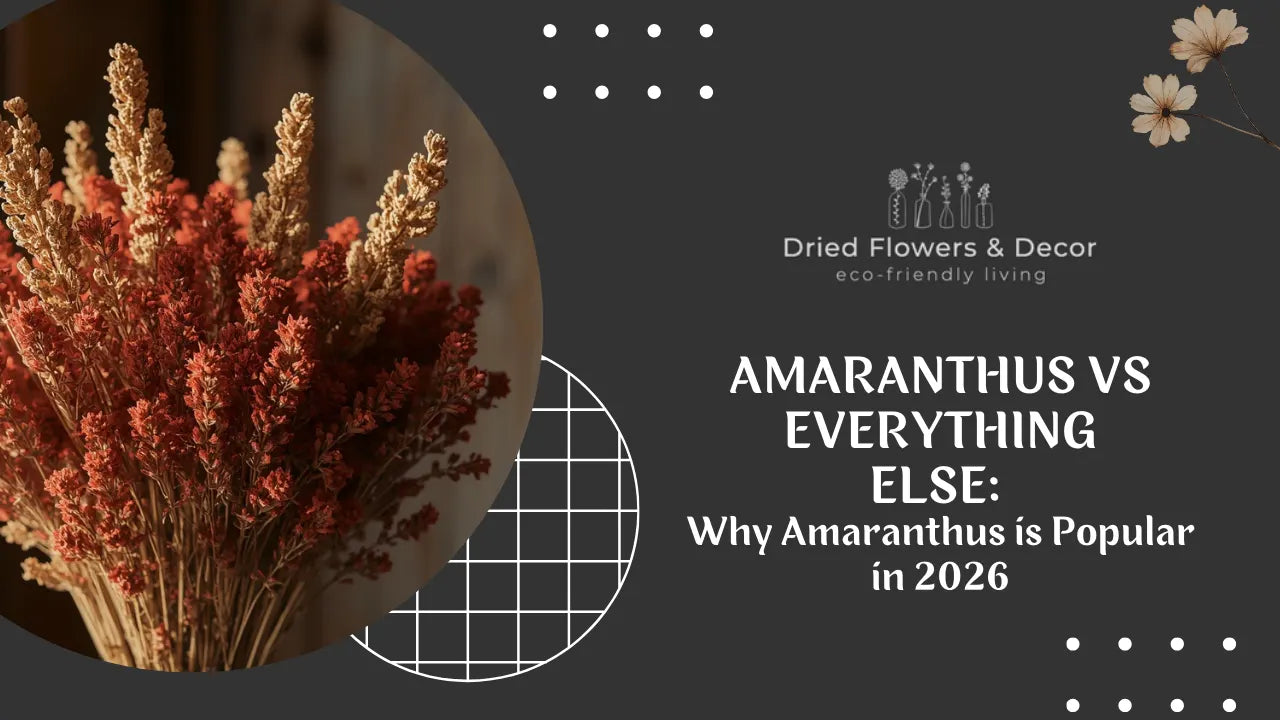Amaranthus vs Everything Else: Why Amaranthus is Popular in 2026