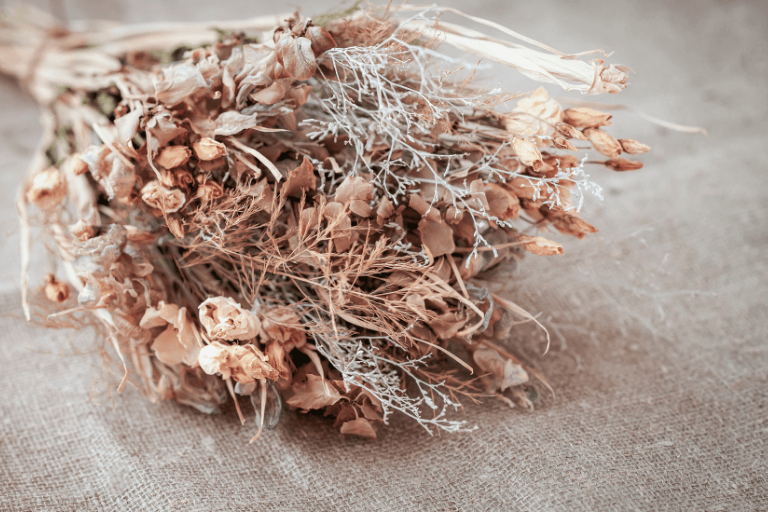 Why We Give Flowers on International Women's Day + Top Flower Picks