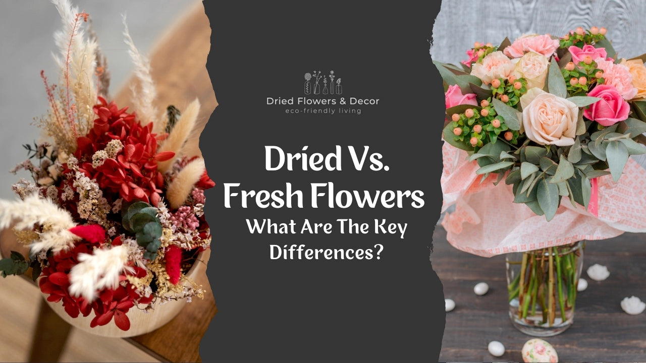 Key Differences Between Dried Flowers And Fresh Flowers