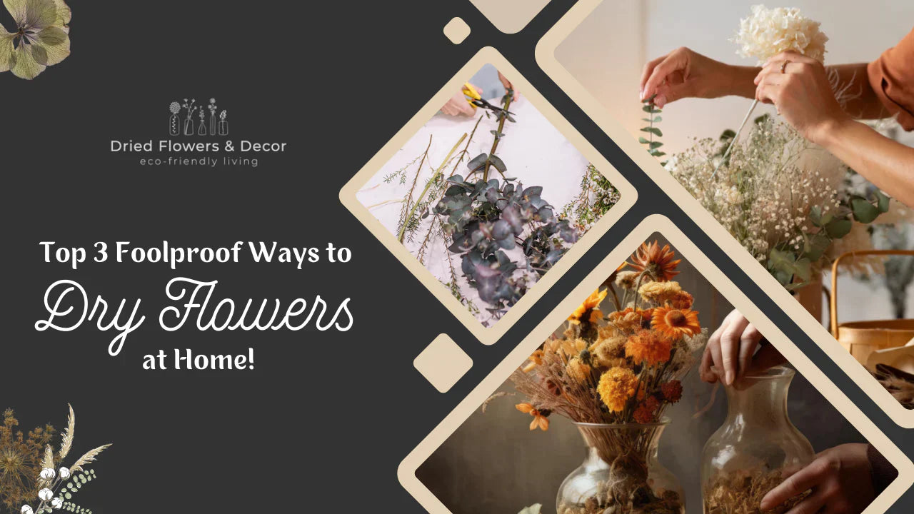 Top 3 Foolproof Ways to Dry Flowers at Home!