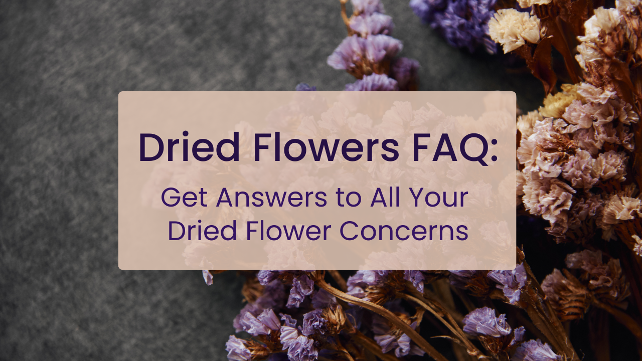Dried Flowers FAQ: Get Answers to All Your Dried Flower Concerns!