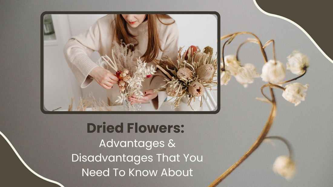 7 Benefits & Cons of Dried Flowers You Should Know