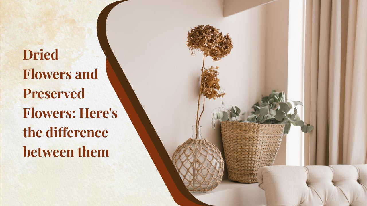 Dried Flowers and Preserved Flowers: Here's The Difference Between Them