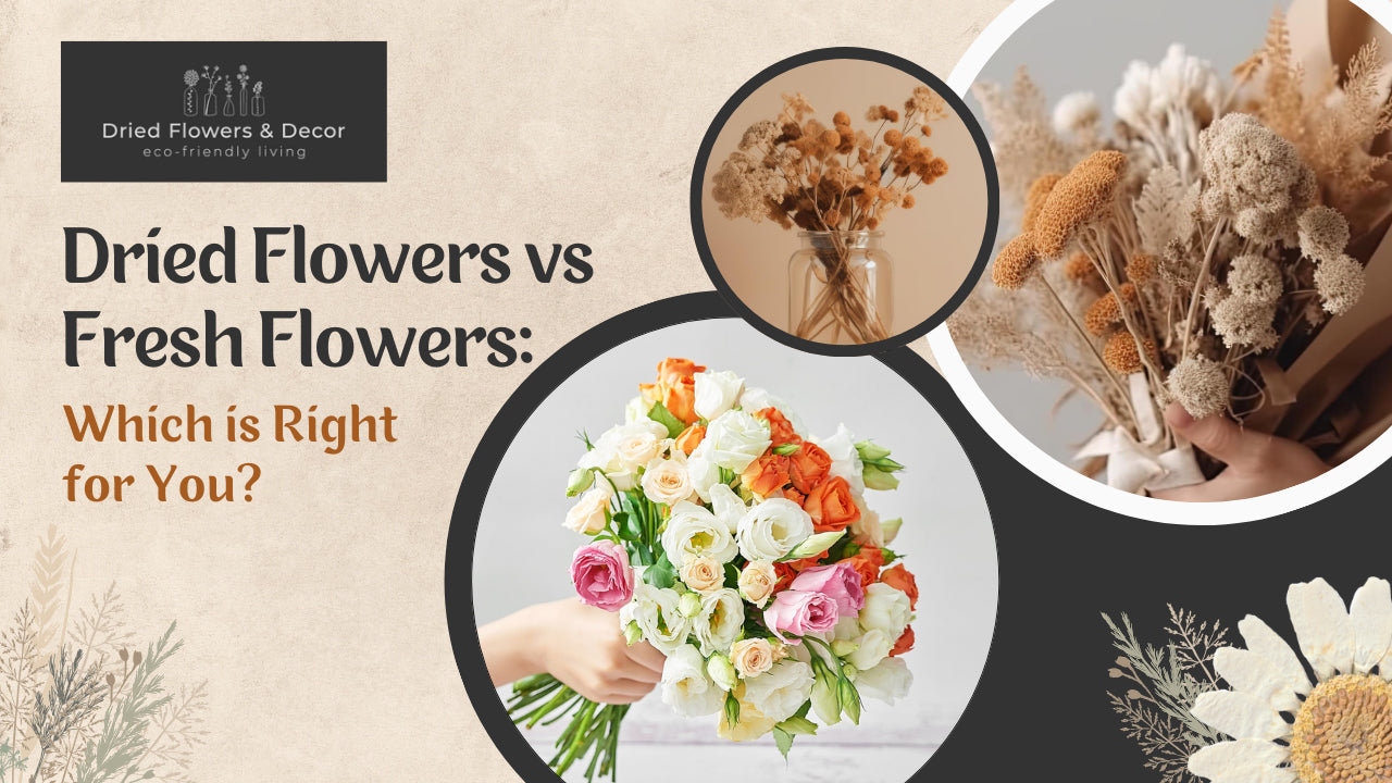 Dried Flowers vs Fresh Flowers: Which is Right for You?