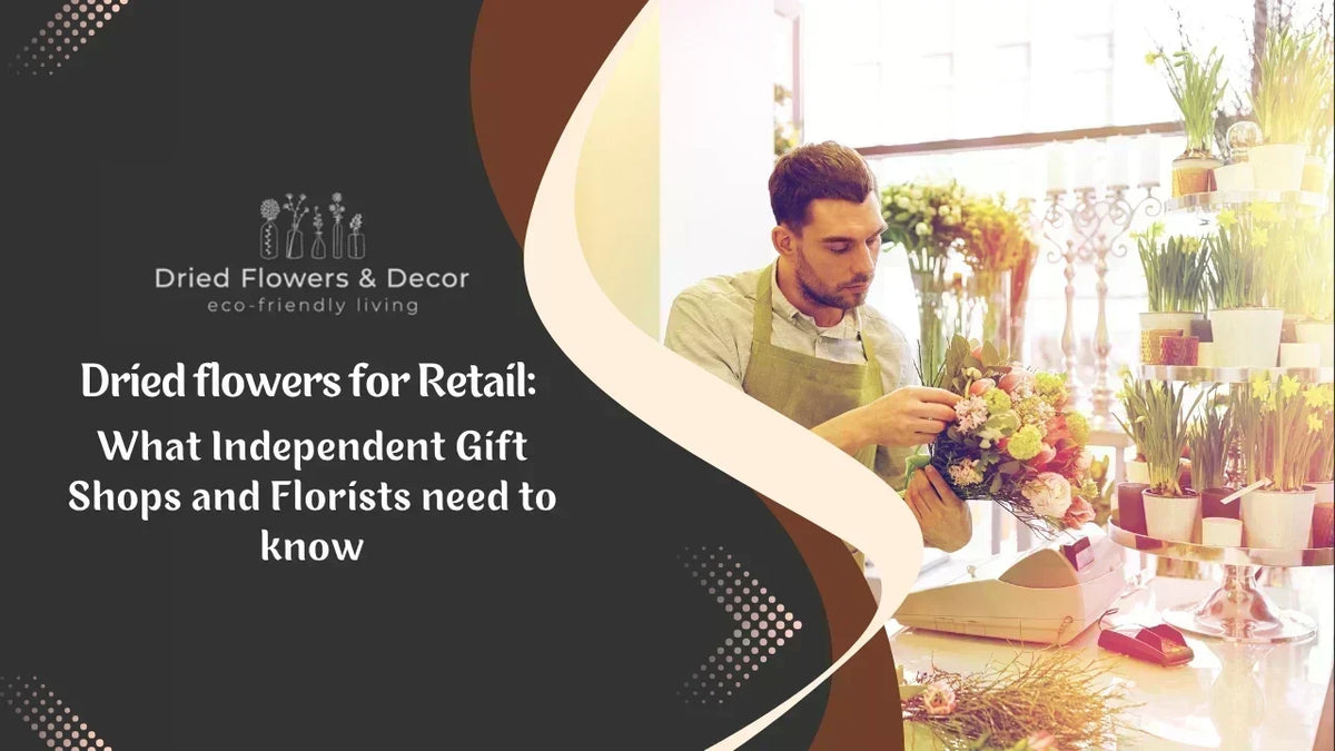 Dried flowers for Retail: What Independent Gift Shops and Florists Need to Know