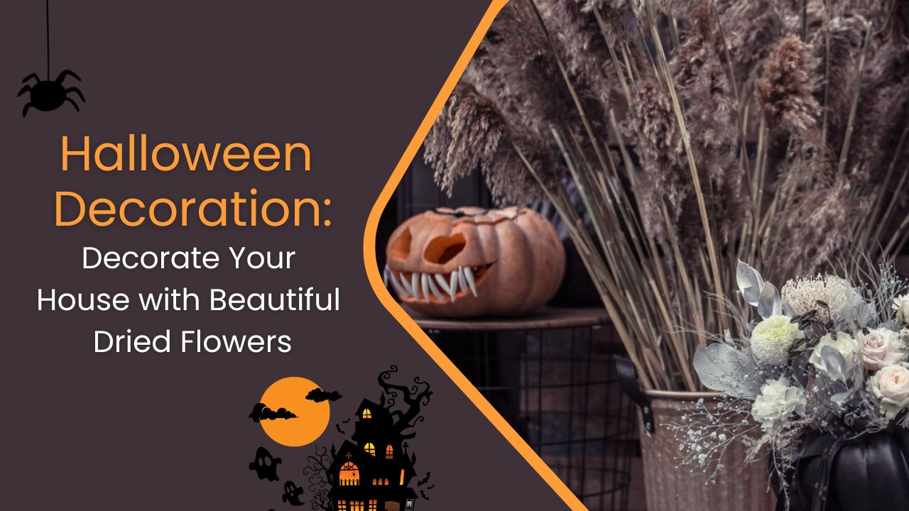 Halloween Decoration: Decorate Your House with Beautiful Dried Flowers