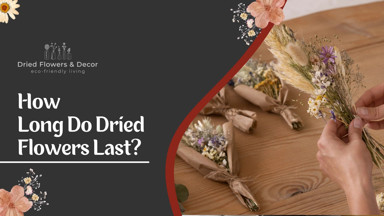 How Long Do Dried Flowers Last