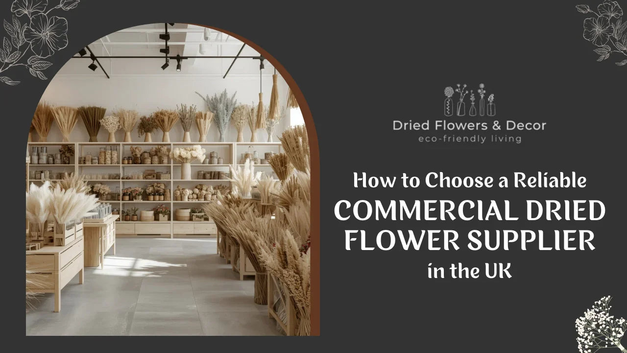 How to Choose a Reliable Commercial Dried Flower Supplier in the UK