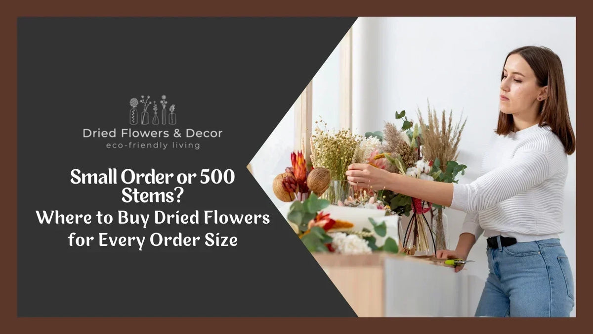 Small Order or 500 Stems? Where to Buy Dried Flowers for Every Order Size