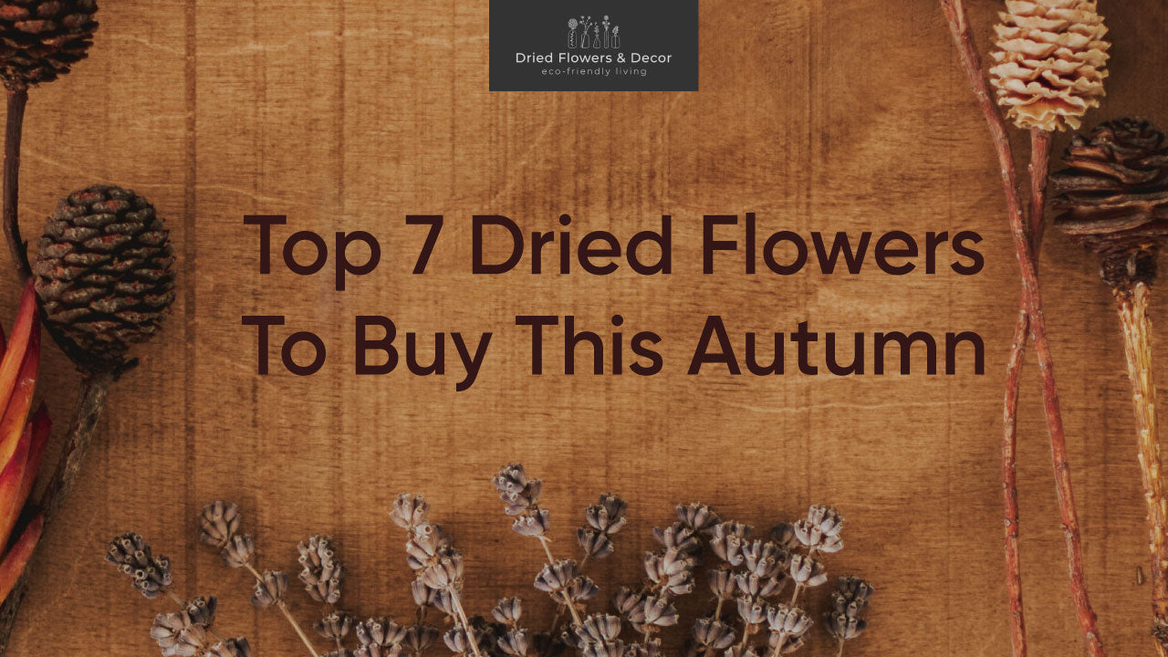 Top 7 Dried Flowers To Buy This Autumn Season