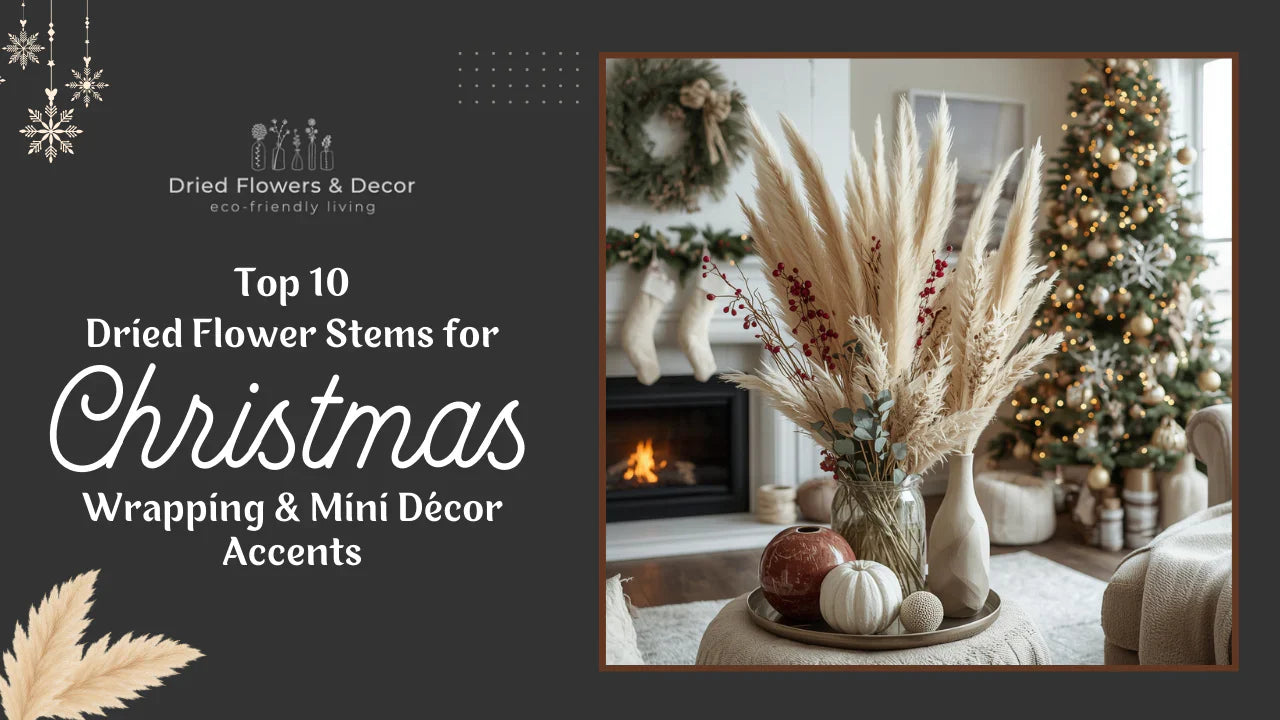 Top 10 Dried Flower Stems for Christmas Wrapping & Mini Décor Accents