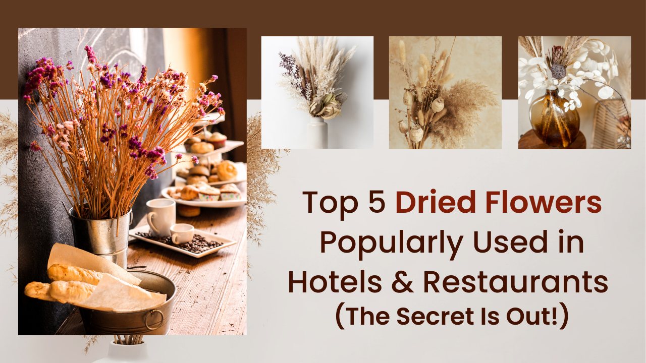 Top 5 Dried Flowers Popularly Used in Hotels & Restaurants (The Secret Is Out!)