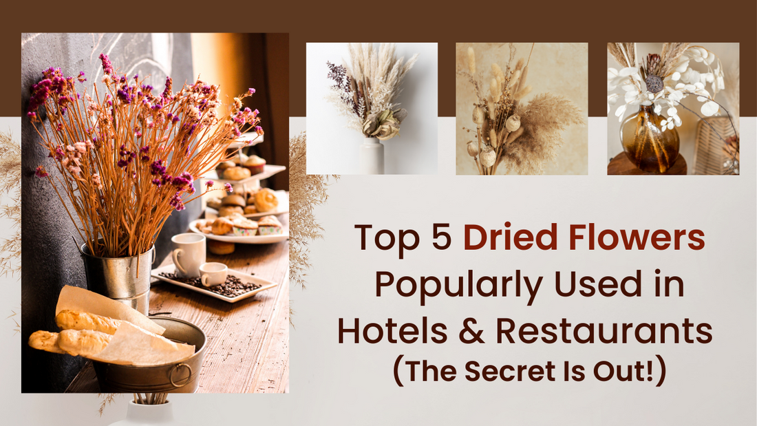 Top 5 Dried Flowers Popularly Used in Hotels & Restaurants