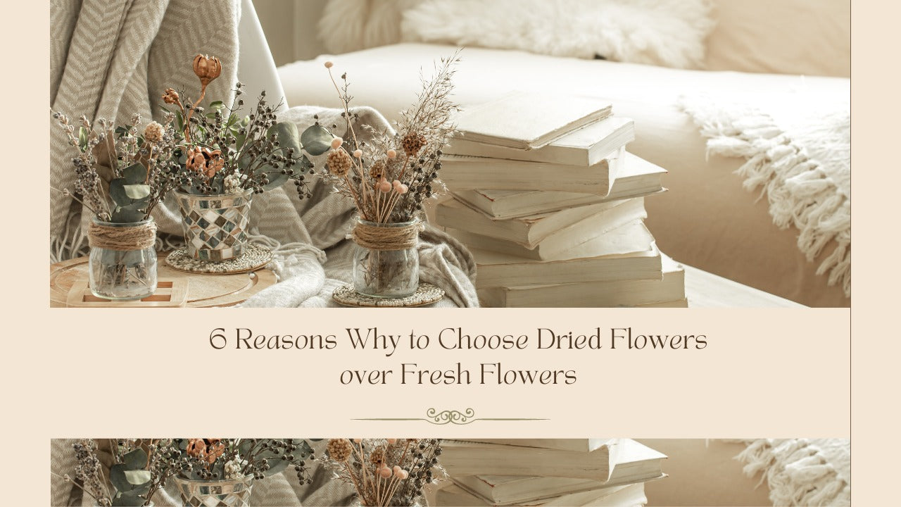 6 Reasons Why to Choose Dried Flowers over Fresh Flowers