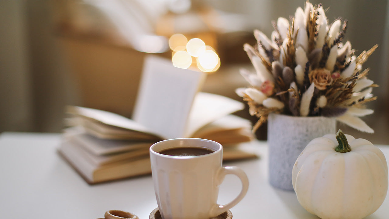 Where to Buy Best Dried Flowers in the UK and Things You Should Know About Them