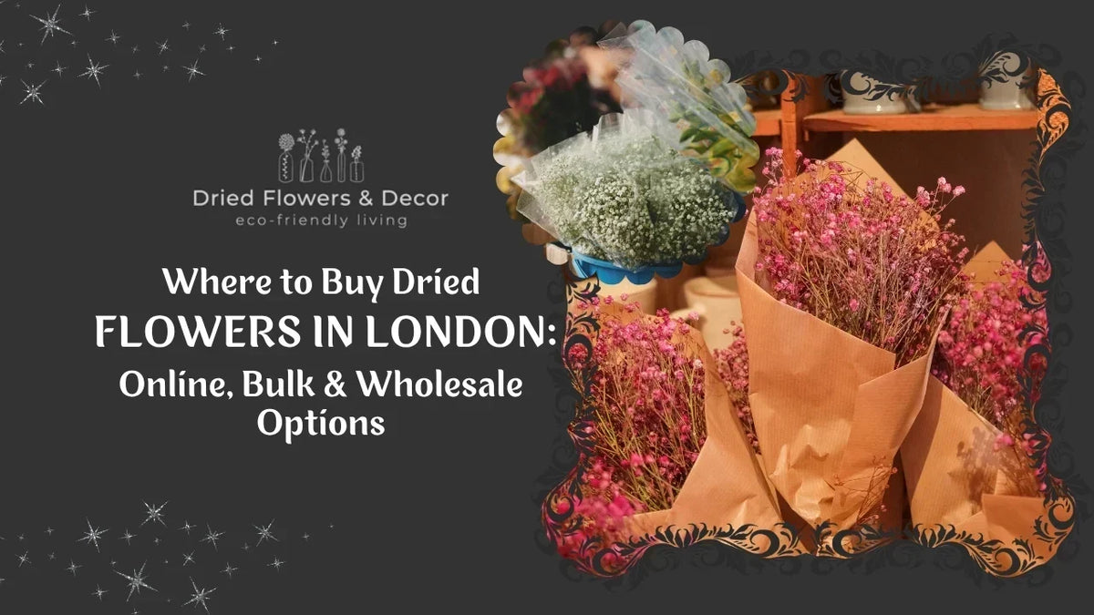 Where to Buy Dried Flowers in London: Online, Bulk & Wholesale Options