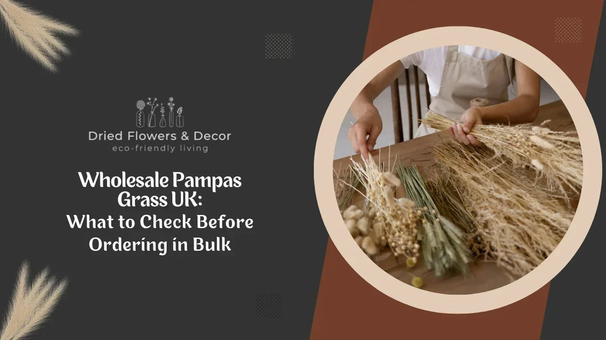 Wholesale Pampas Grass UK: What to Check Before Ordering in Bulk