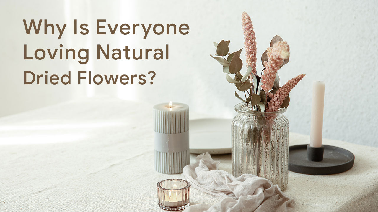 Why Is Everyone Loving Natural Dried Flowers