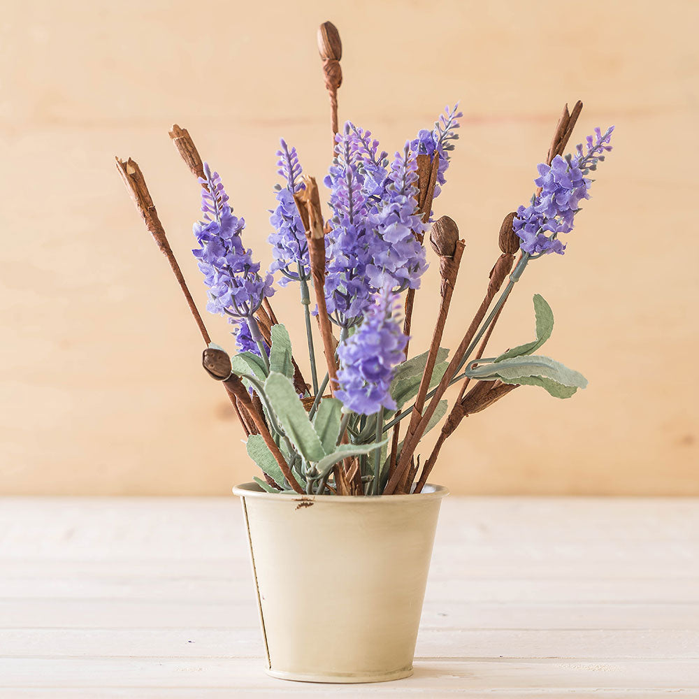 DRIED FLOWERS