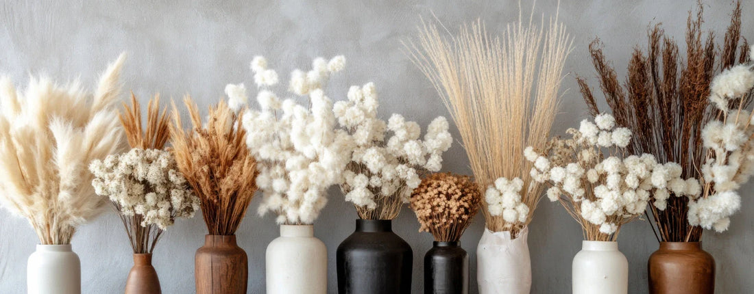 White Dried Flowers