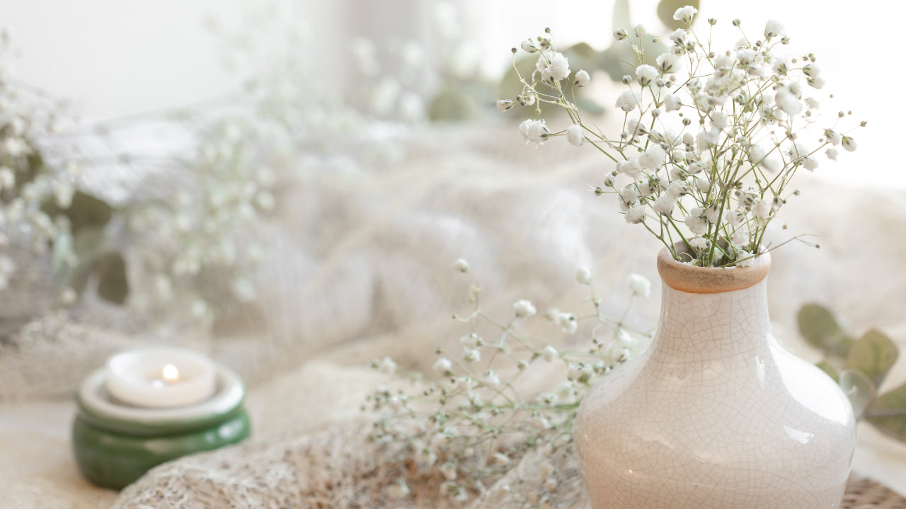 Gypsophila