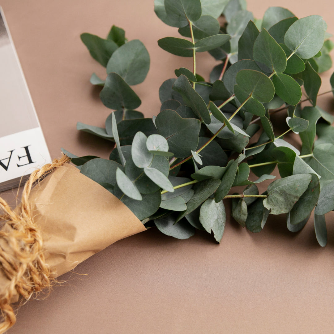 Dried Flowers Decor Wholesale Dried Flowers UK Delivery