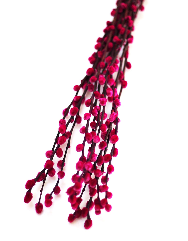 Red decorative branch on a white background