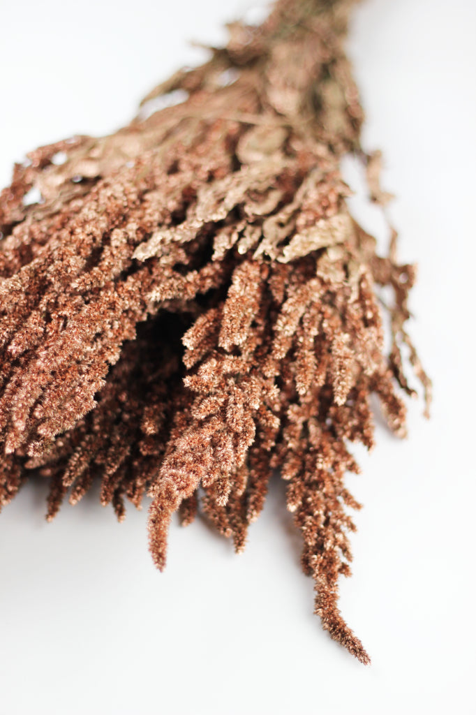 Dried Amaranthus