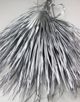 Silver Dried Chamaerops Palm
