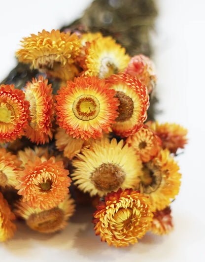 A close-up of a dried flower bouquet featuring vibrant orange, yellow, and peach strawflowers with brown centers, set against a clean white background.