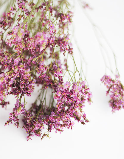  Purple Dried Limonium flowers 