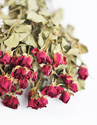 Dried red roses