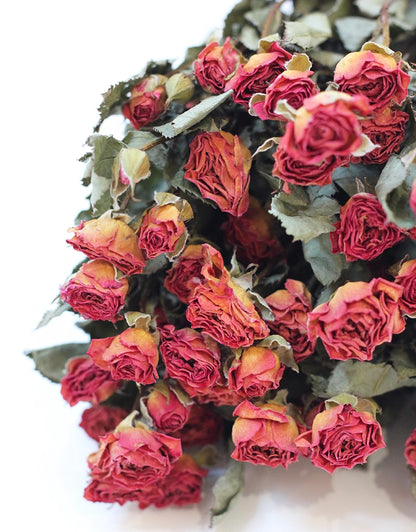 Dried Spray Roses 