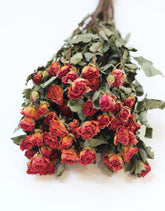 Dried Spray Roses Orange
