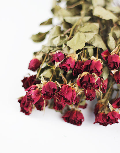 dried roses